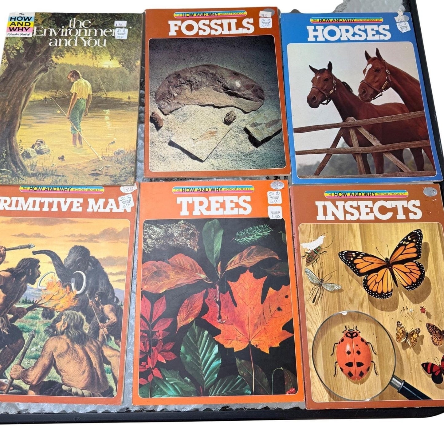 How and Why Wonder Books Lot of 6 Primitive Man Fossils Horses Insects Trees