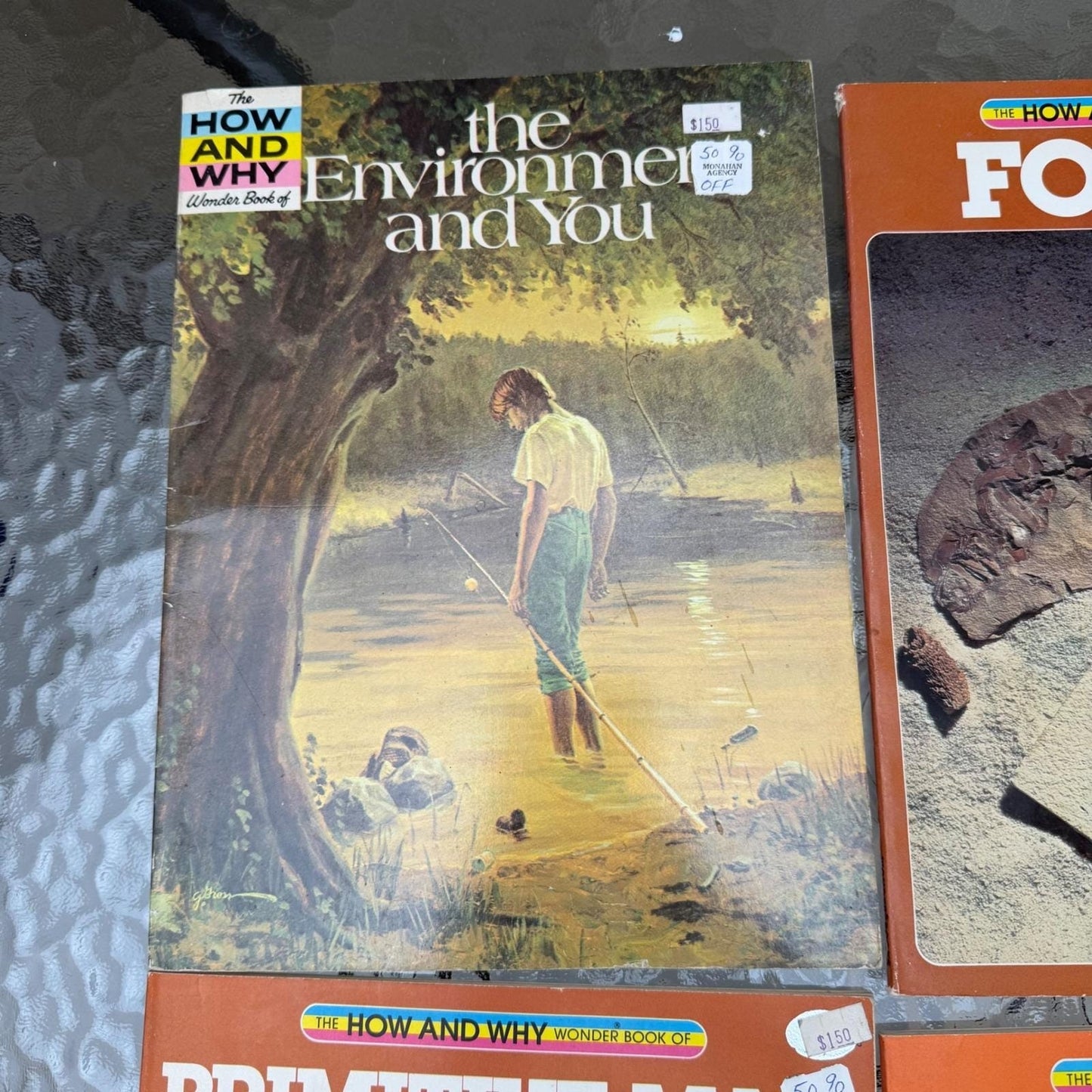 How and Why Wonder Books Lot of 6 Primitive Man Fossils Horses Insects Trees