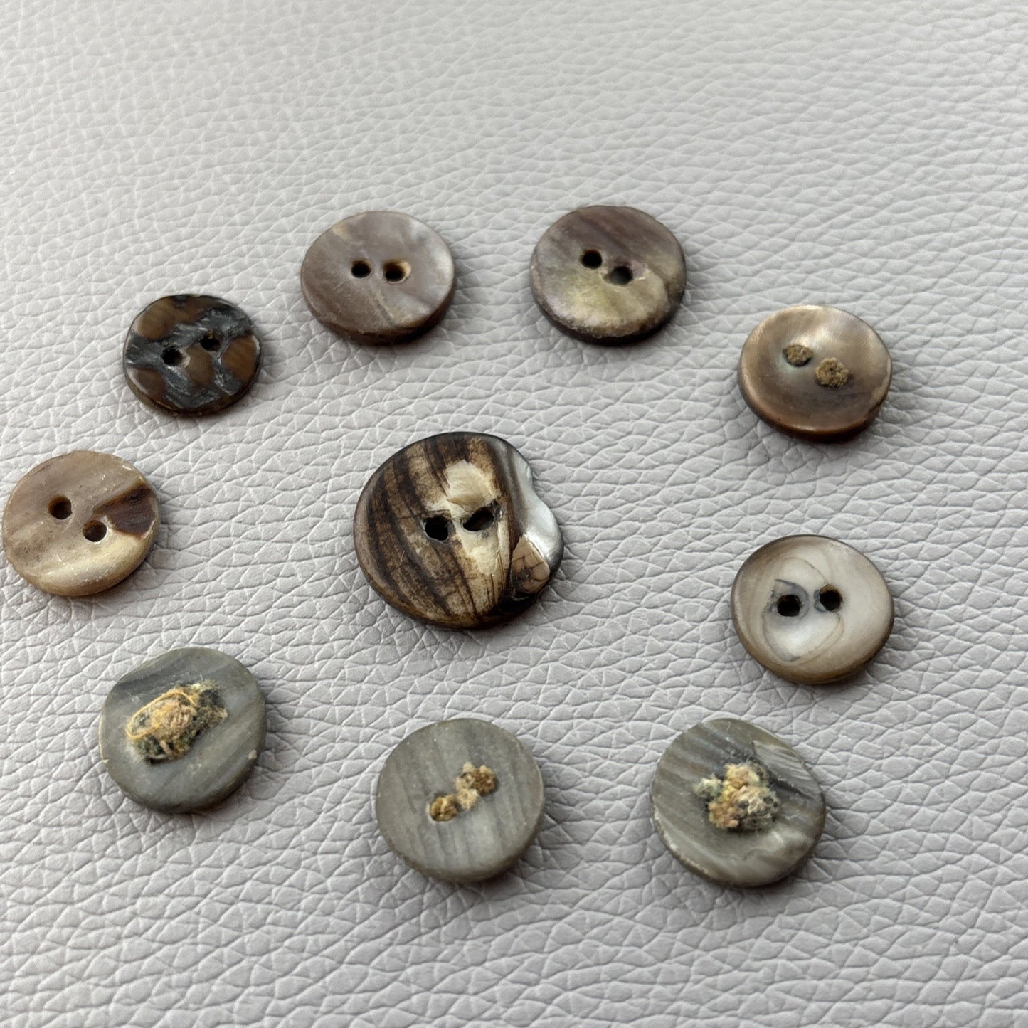 Antique Mother of Pearl Fish Eye Buttons Set of 10 | Early 1900s Carved Shell