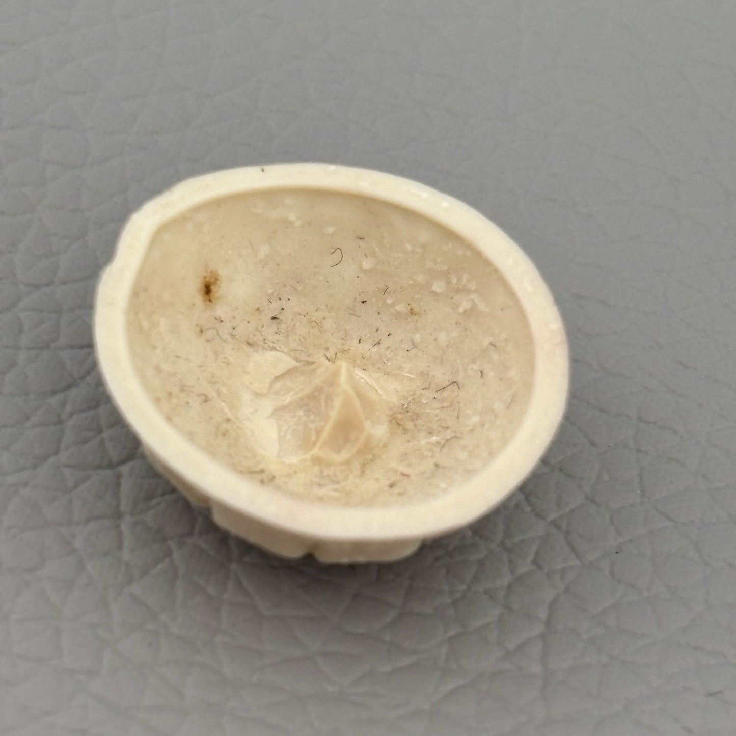 Vintage Carved Early Plastic Buttons – Antique White Floral & Pierced Mix 50 Lot