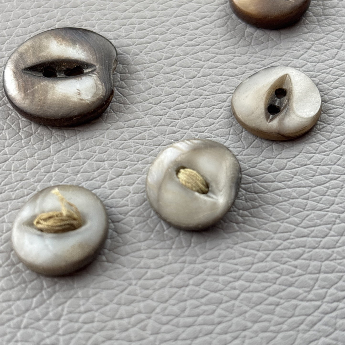 Antique Mother of Pearl Fish Eye Buttons Set of 10 | Early 1900s Carved Shell