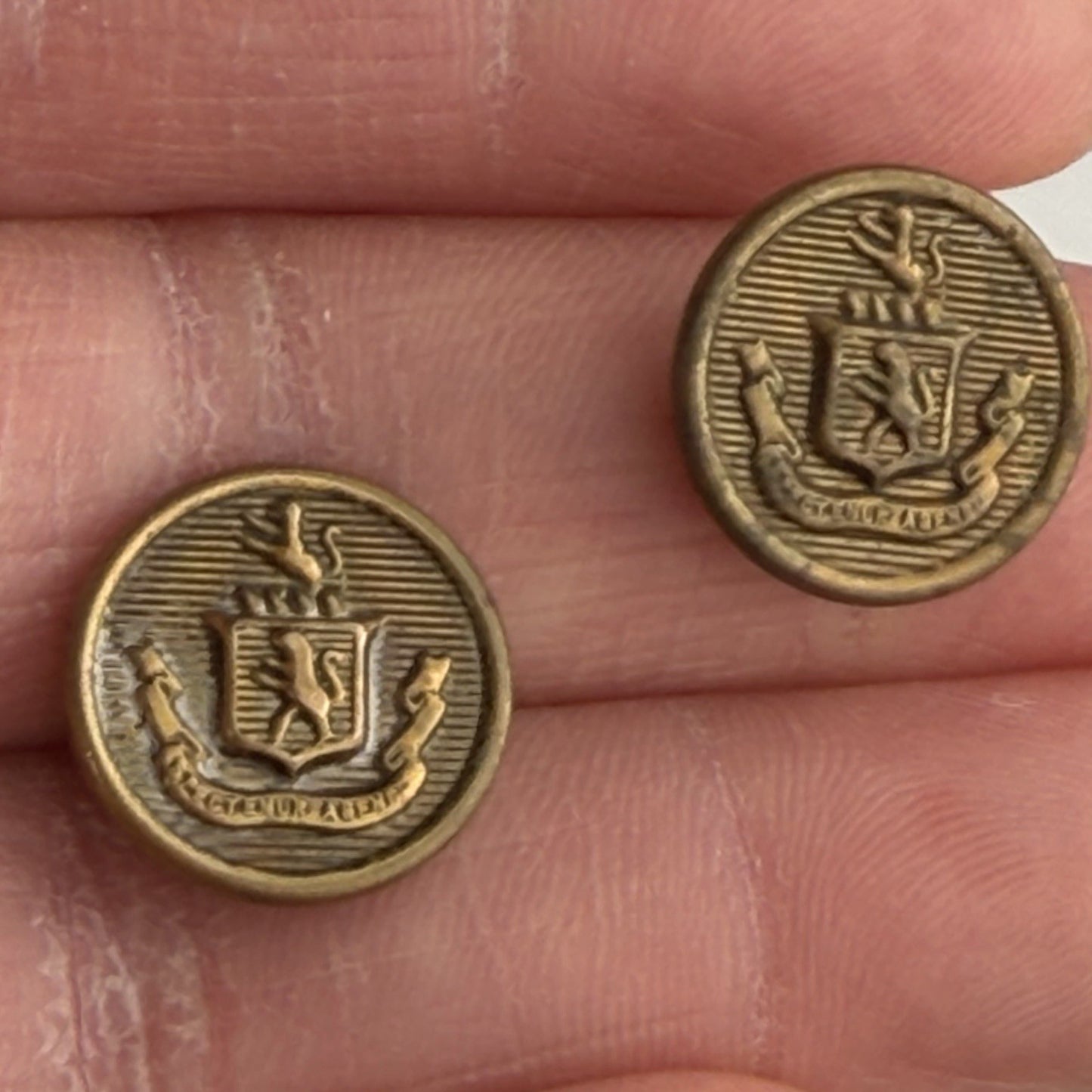 Vintage Brass Crest Buttons Pair • Heraldic Lion Shield Emblem • Sewing Crafts