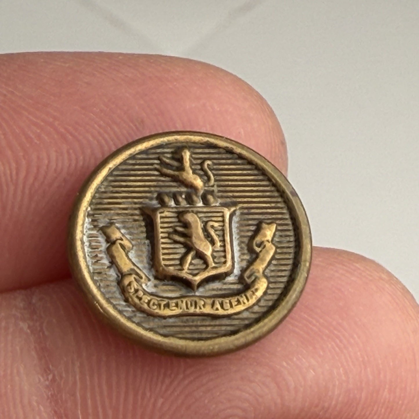 Vintage Brass Crest Buttons Pair • Heraldic Lion Shield Emblem • Sewing Crafts