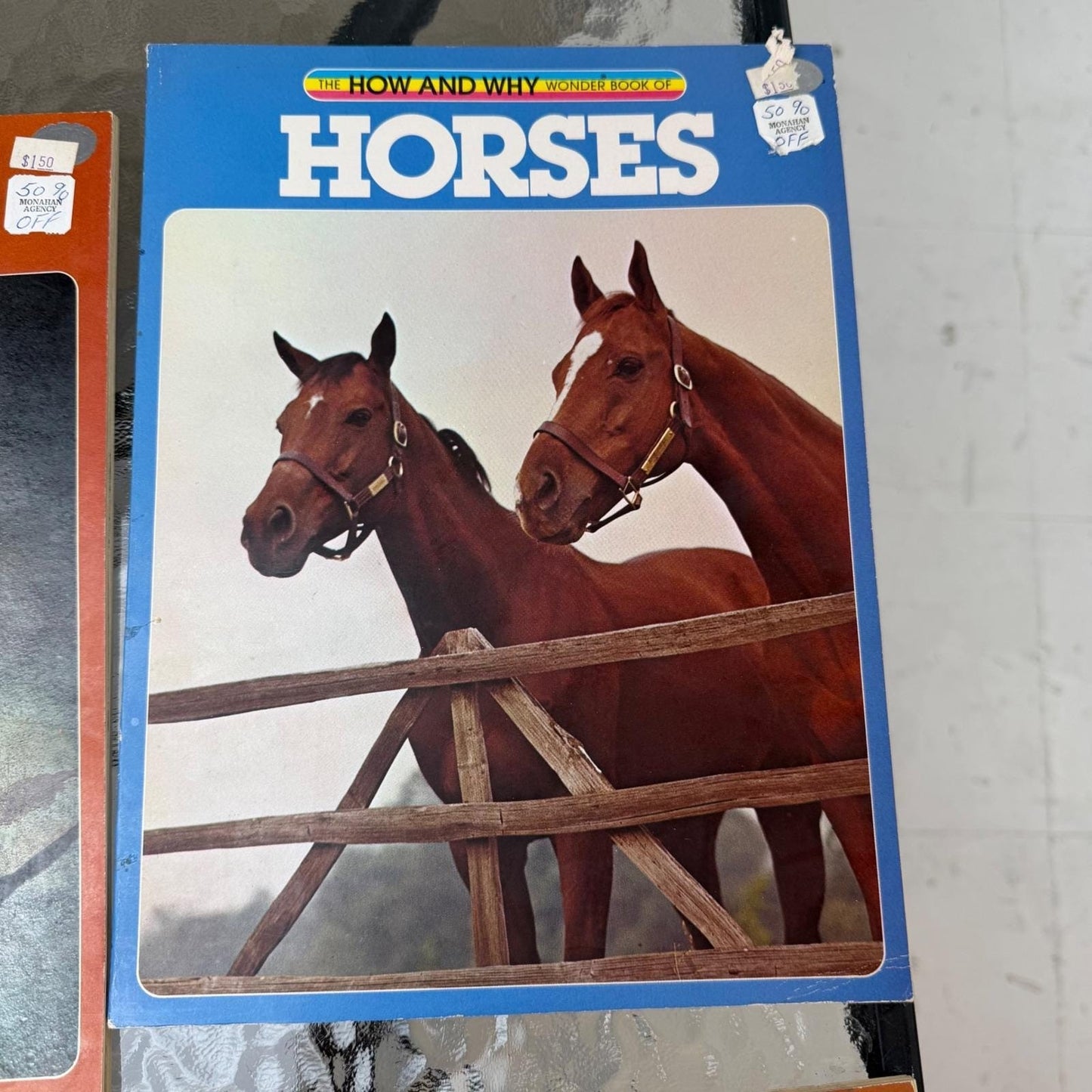 How and Why Wonder Books Lot of 6 Primitive Man Fossils Horses Insects Trees