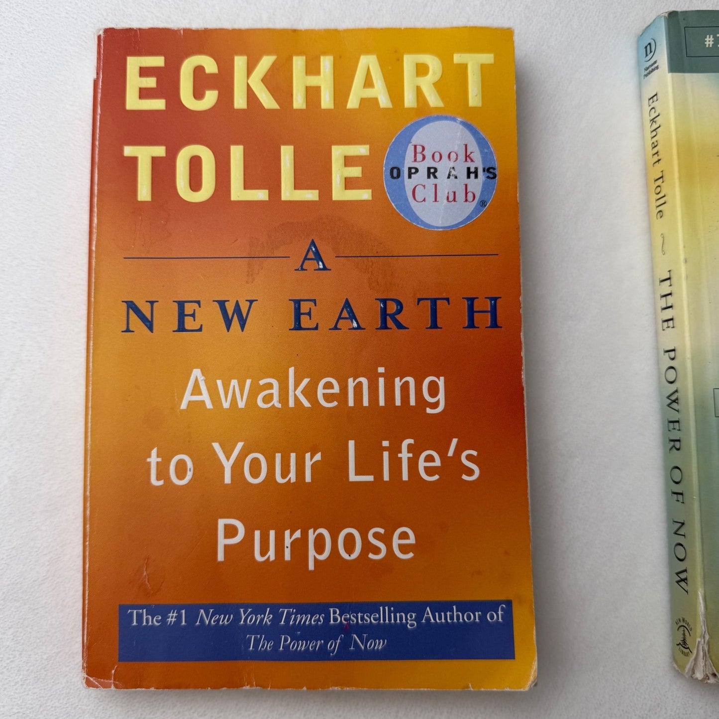 Eckhart Tolle Book Lot (2) – The Power of Now + A New Earth – Spiritual Growth