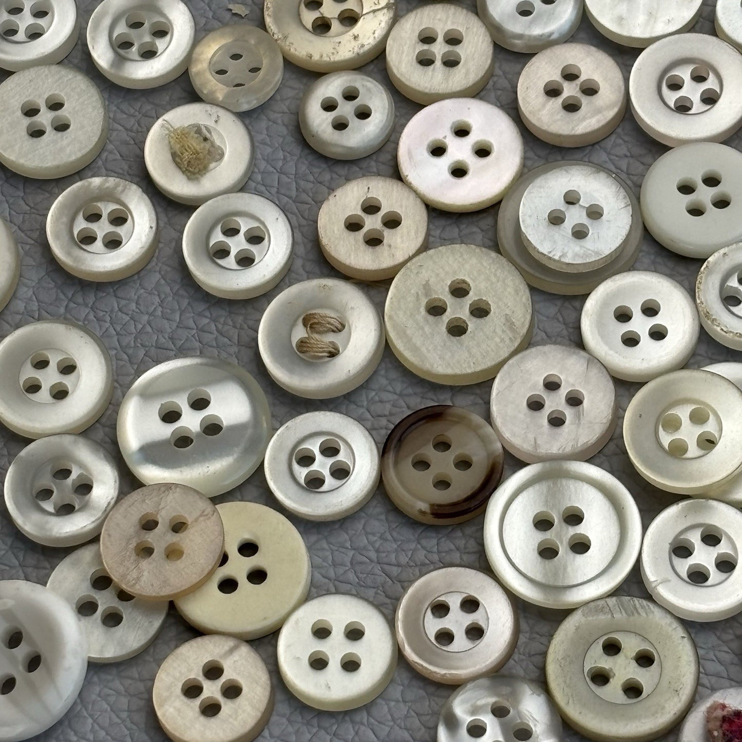 Mixed Plastic Button Lot ~ 50pcs Clear White Ivory Assorted Styles New