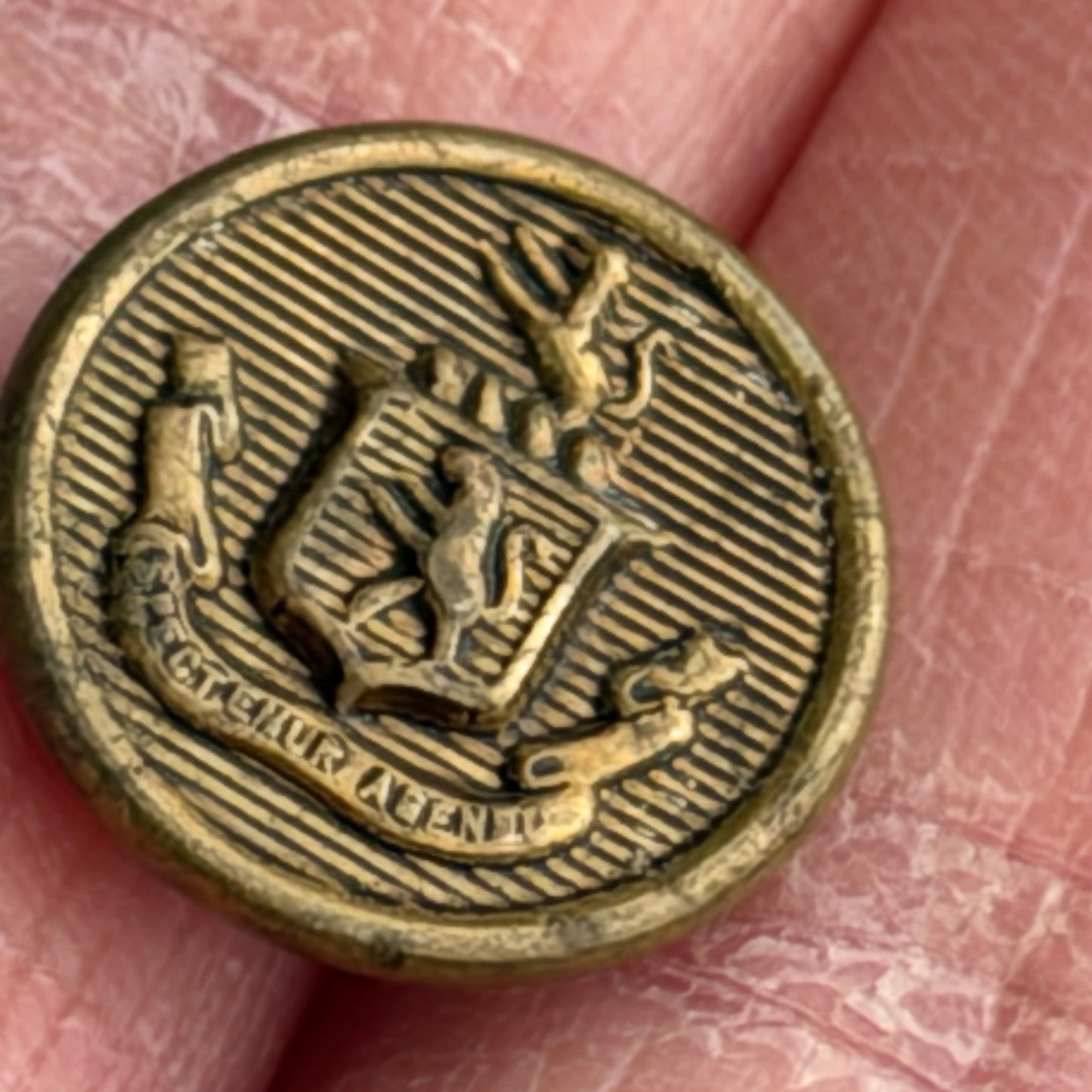 Vintage Brass Crest Buttons Pair • Heraldic Lion Shield Emblem • Sewing Crafts
