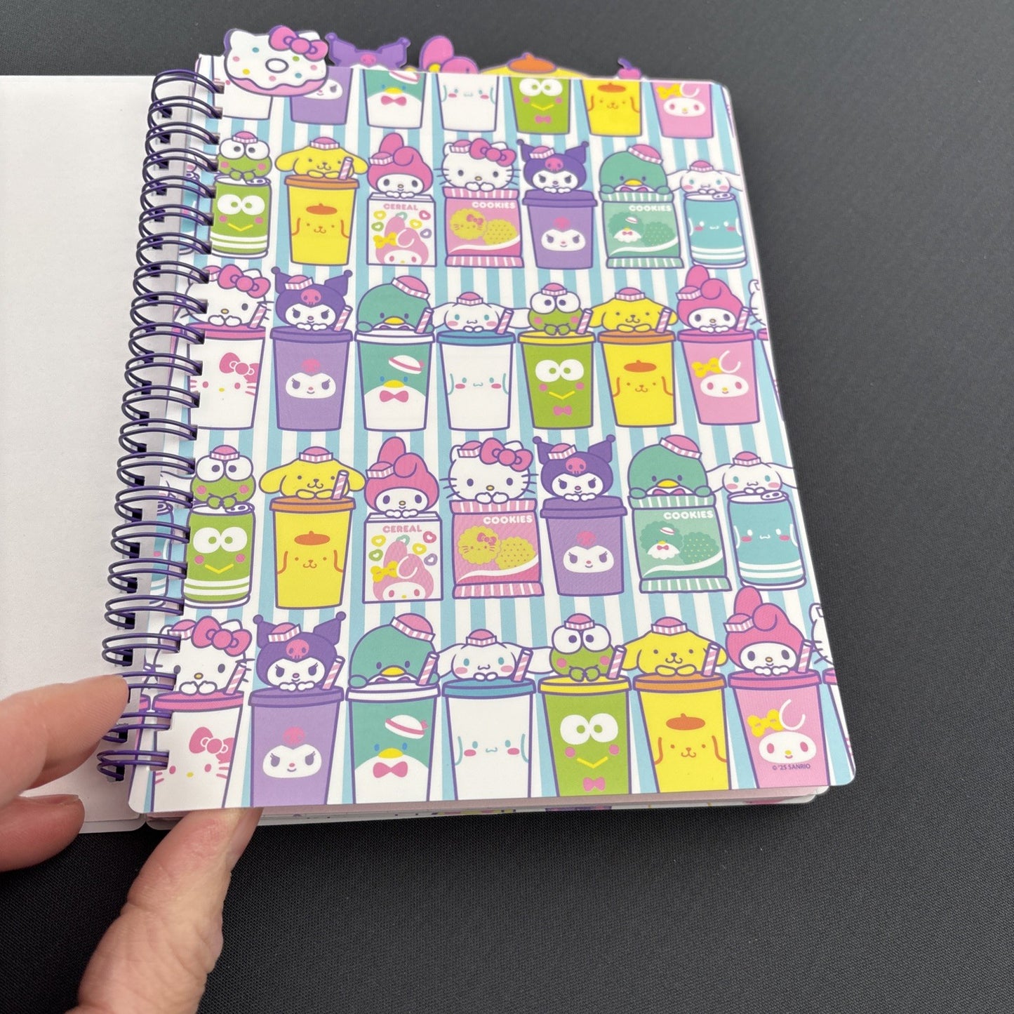 Hello Kitty and Friends Spiral Journal — Kawaii Snack Shop Notebook w/ Tabs