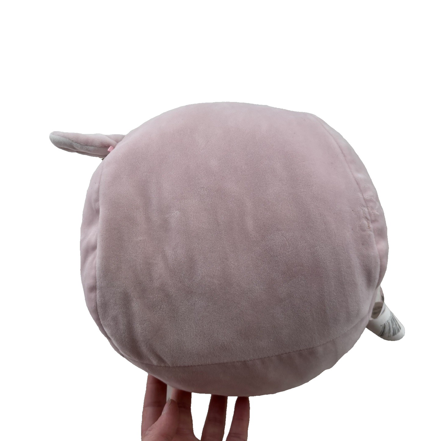 Lot of 5 Squishmallows 12” Unicorn Caticorn Fox Lambicorn Elephant Plush Set