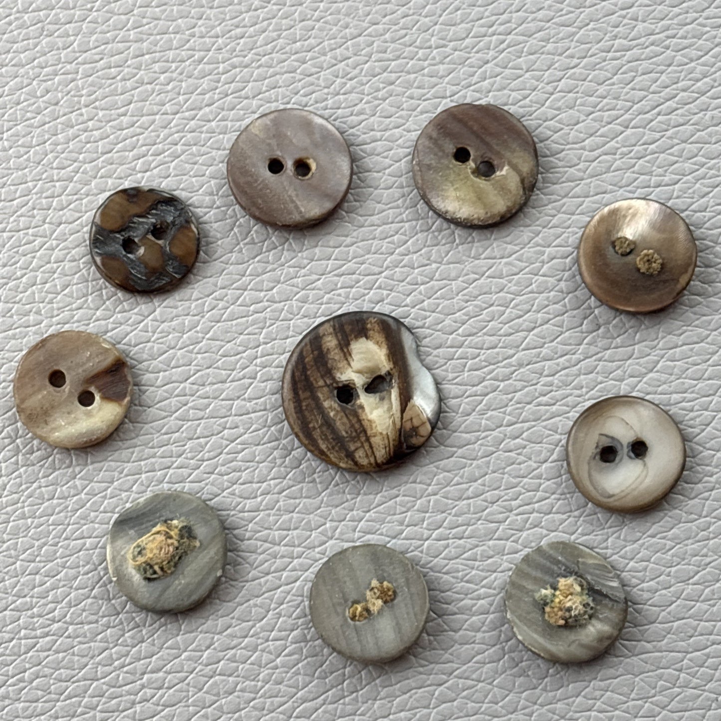 Antique Mother of Pearl Fish Eye Buttons Set of 10 | Early 1900s Carved Shell