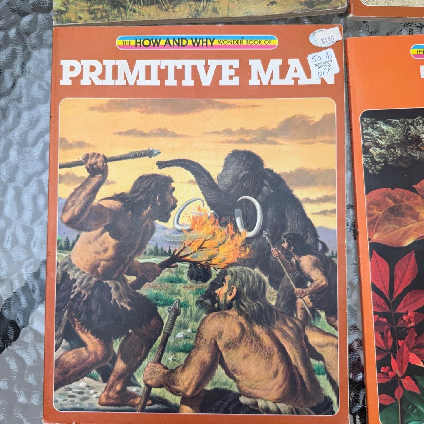 How and Why Wonder Books Lot of 6 Primitive Man Fossils Horses Insects Trees
