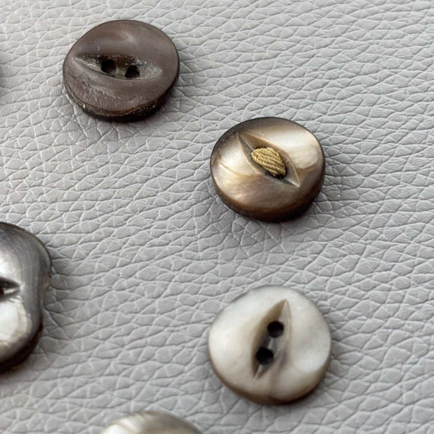 Antique Mother of Pearl Fish Eye Buttons Set of 10 | Early 1900s Carved Shell