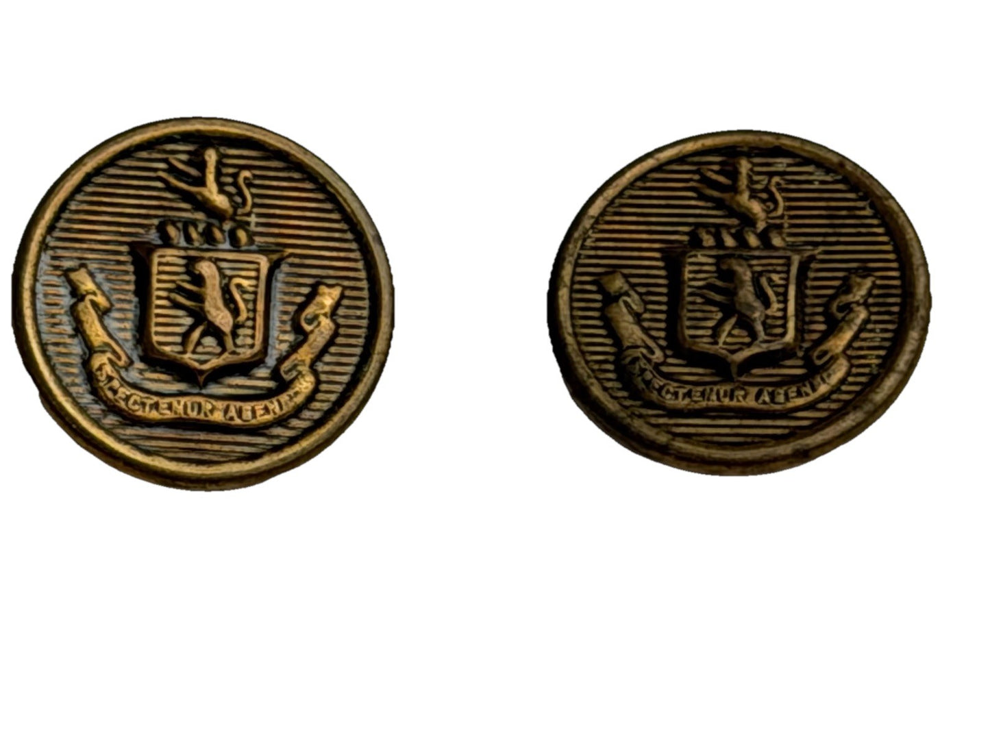 Vintage Brass Crest Buttons Pair • Heraldic Lion Shield Emblem • Sewing Crafts
