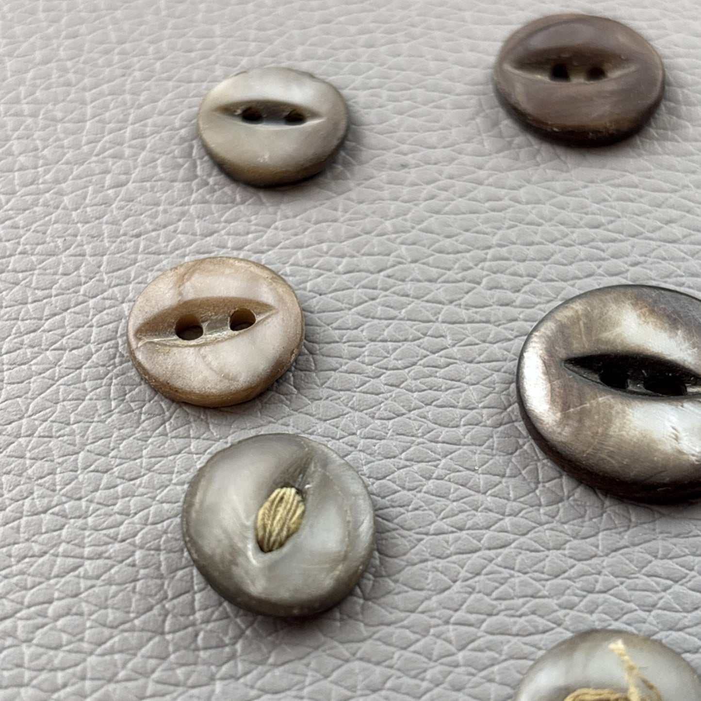 Antique Mother of Pearl Fish Eye Buttons Set of 10 | Early 1900s Carved Shell