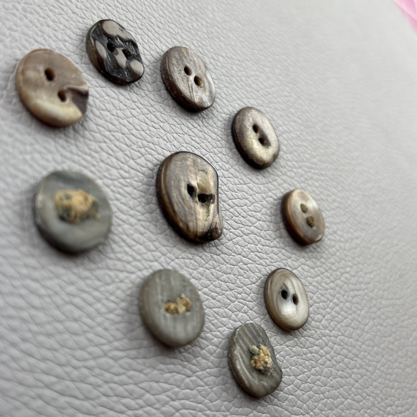 Antique Mother of Pearl Fish Eye Buttons Set of 10 | Early 1900s Carved Shell
