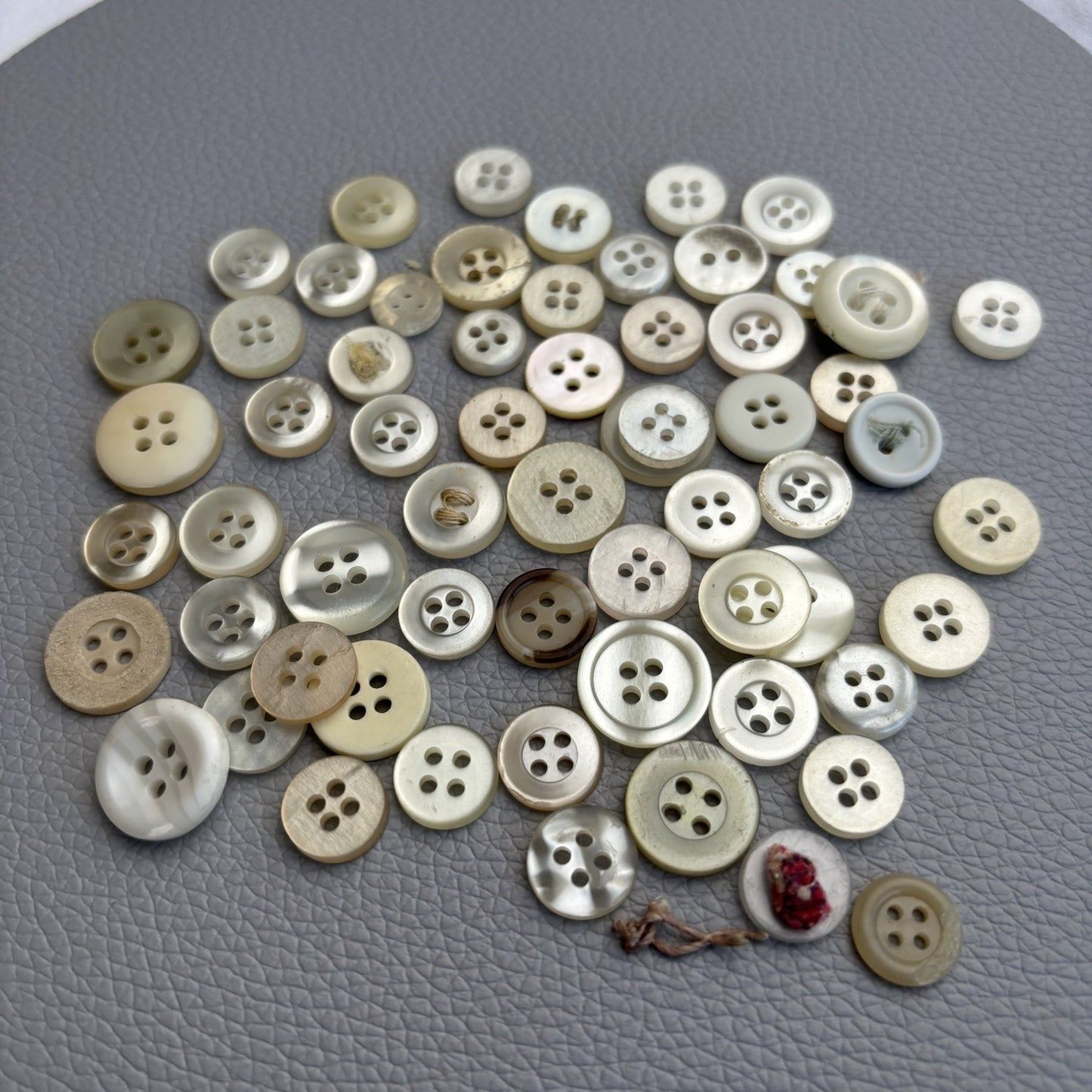 Mixed Plastic Button Lot ~ 50pcs Clear White Ivory Assorted Styles New