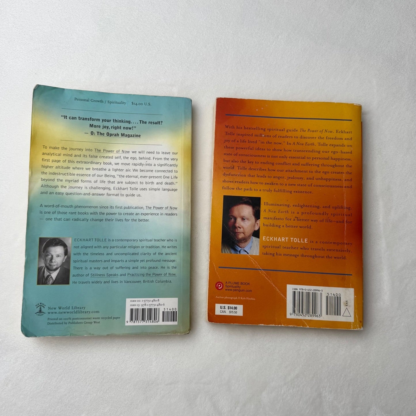 Eckhart Tolle Book Lot (2) – The Power of Now + A New Earth – Spiritual Growth