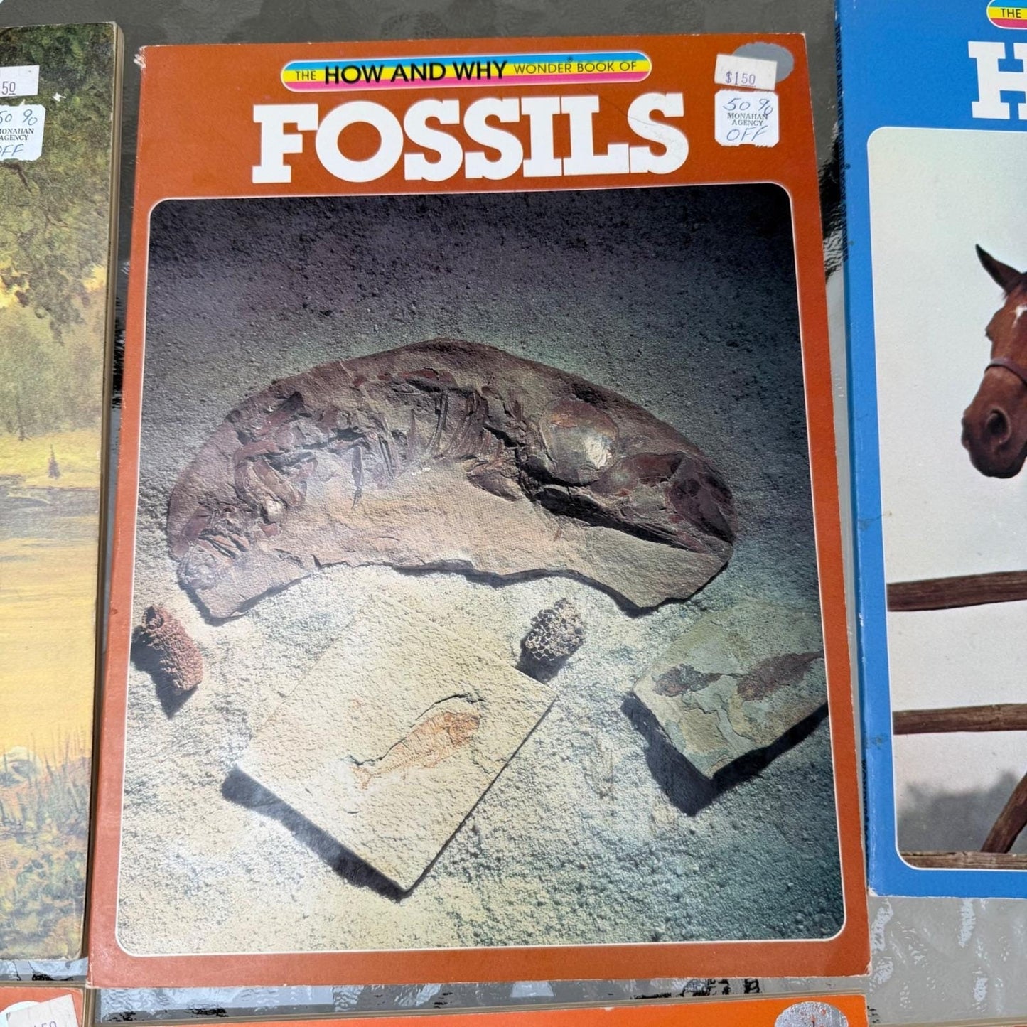 How and Why Wonder Books Lot of 6 Primitive Man Fossils Horses Insects Trees