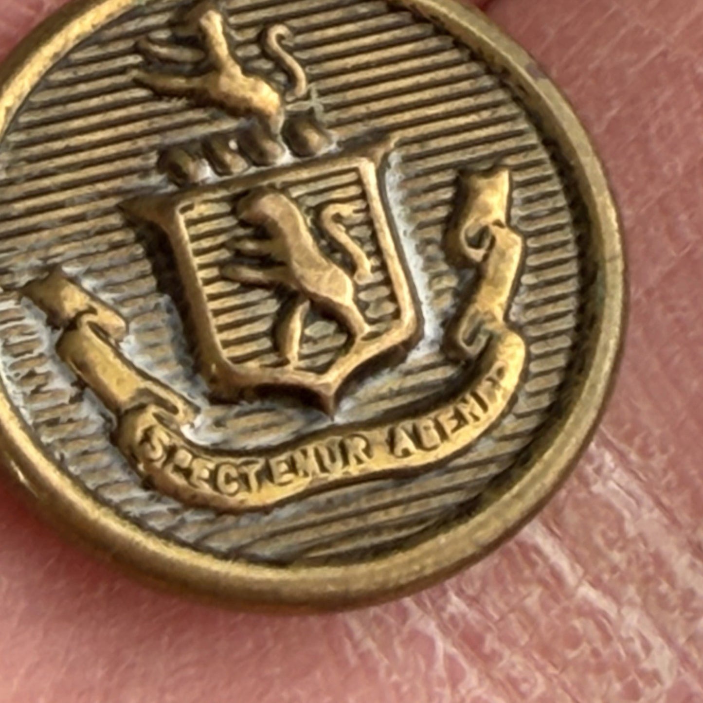 Vintage Brass Crest Buttons Pair • Heraldic Lion Shield Emblem • Sewing Crafts