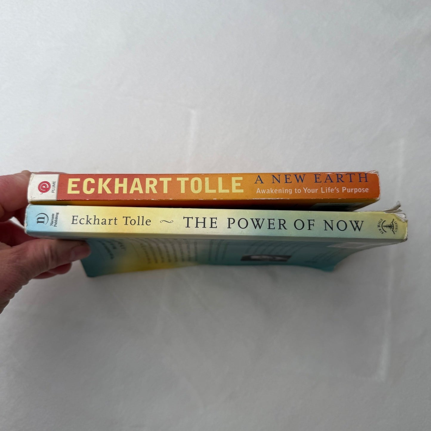 Eckhart Tolle Book Lot (2) – The Power of Now + A New Earth – Spiritual Growth