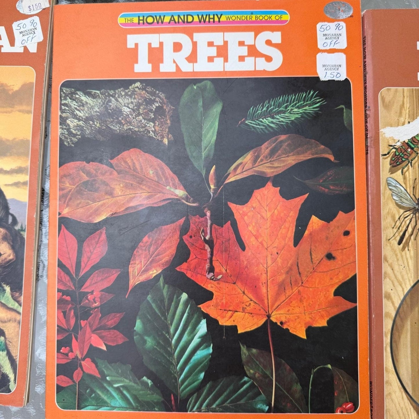 How and Why Wonder Books Lot of 6 Primitive Man Fossils Horses Insects Trees