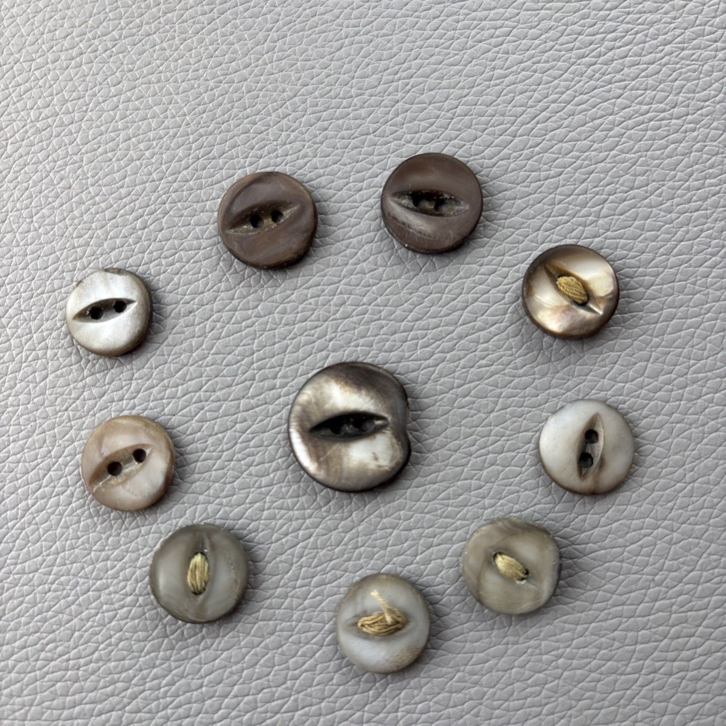 Antique Mother of Pearl Fish Eye Buttons Set of 10 | Early 1900s Carved Shell