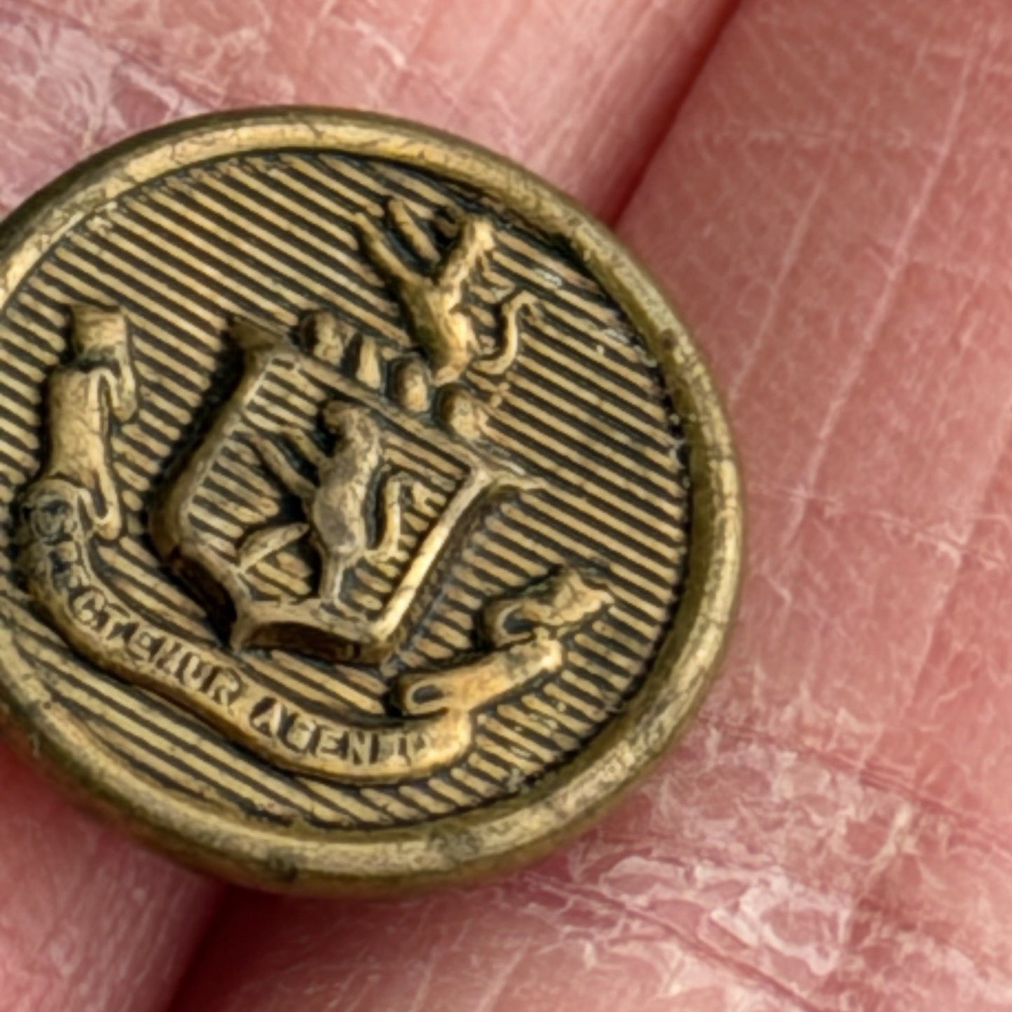 Vintage Brass Crest Buttons Pair • Heraldic Lion Shield Emblem • Sewing Crafts