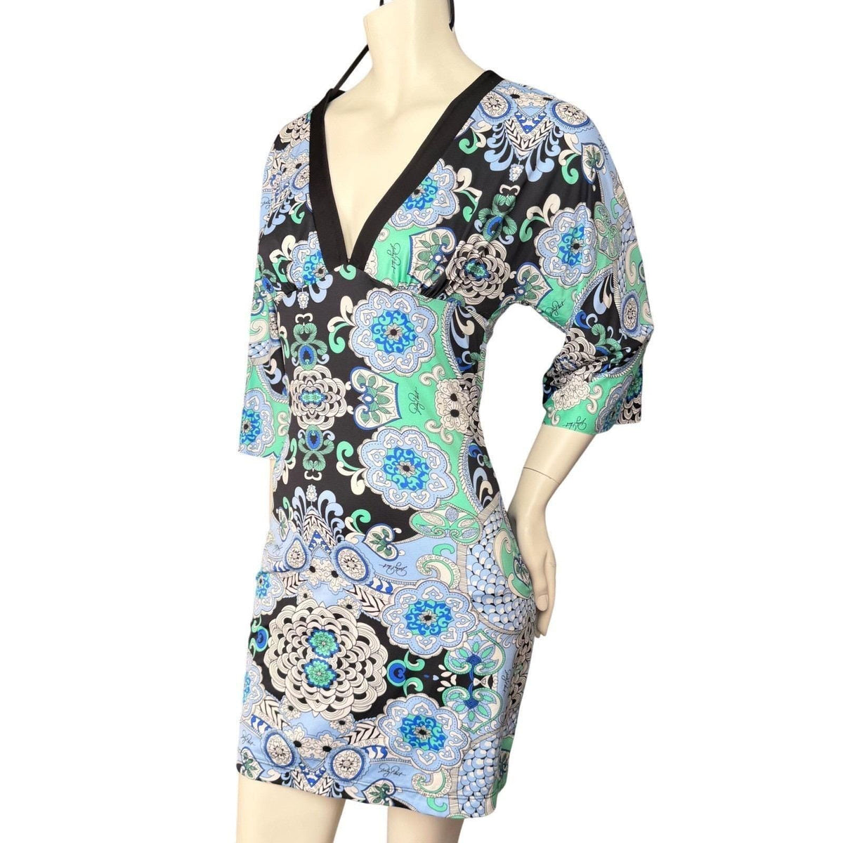 Baby Phat Paisley Kimono Sleeve Dress | L — detail photo 5
